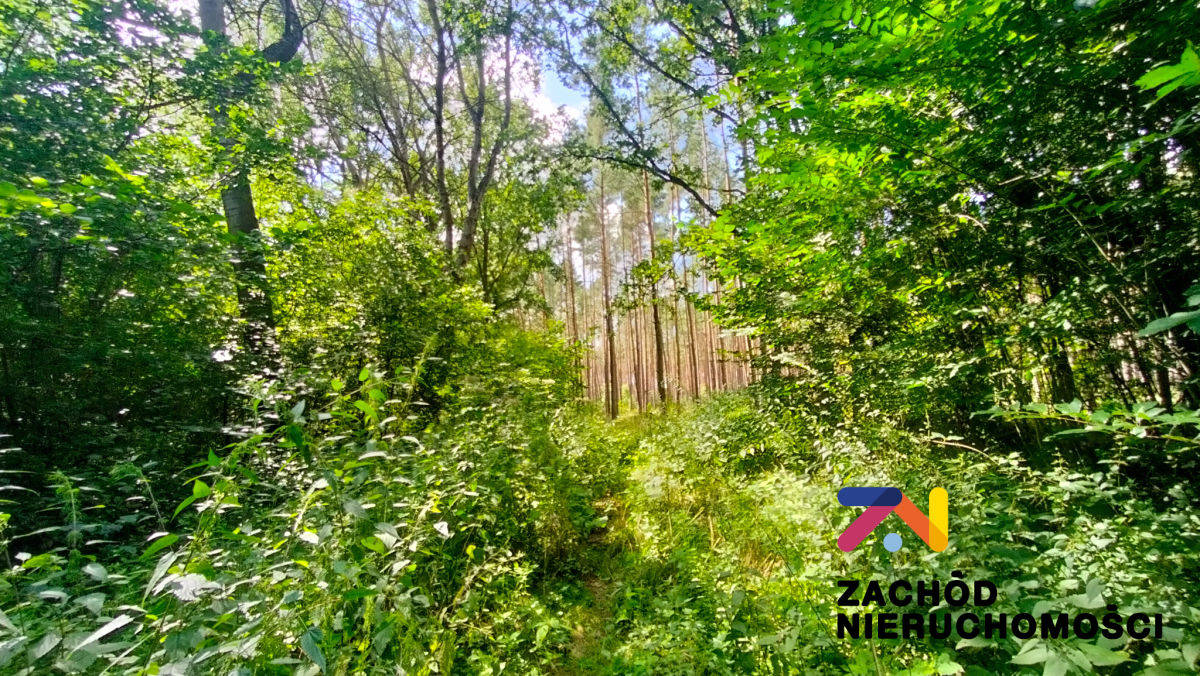 Na sprzedaż działka budowlana - Zielona Góra -
lubuskie Zdjęcie nr 1