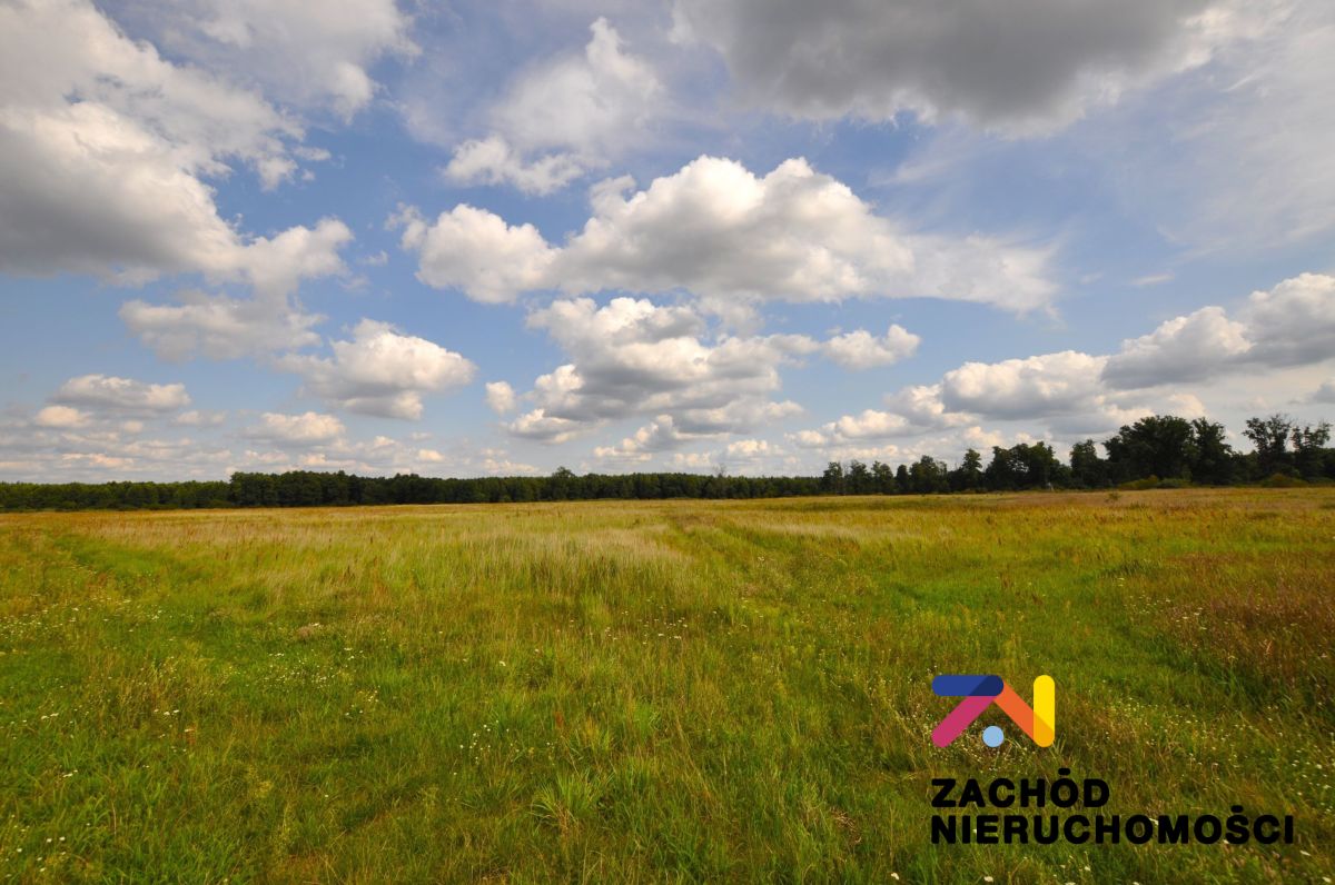 Na sprzedaż działka rekreacyjna - Karszyn -
lubuskie Zdjęcie nr 1