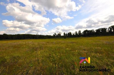 Na sprzedaż działka rekreacyjna - Karszyn -
lubuskie Zdjęcie nr 4