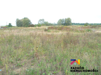 Na sprzedaż działka budowlana - Zabór -
lubuskie Zdjęcie nr 3