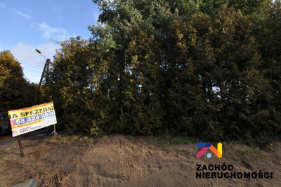 Na sprzedaż działka budowlana - Miodnica -
lubuskie Zdjęcie nr 3