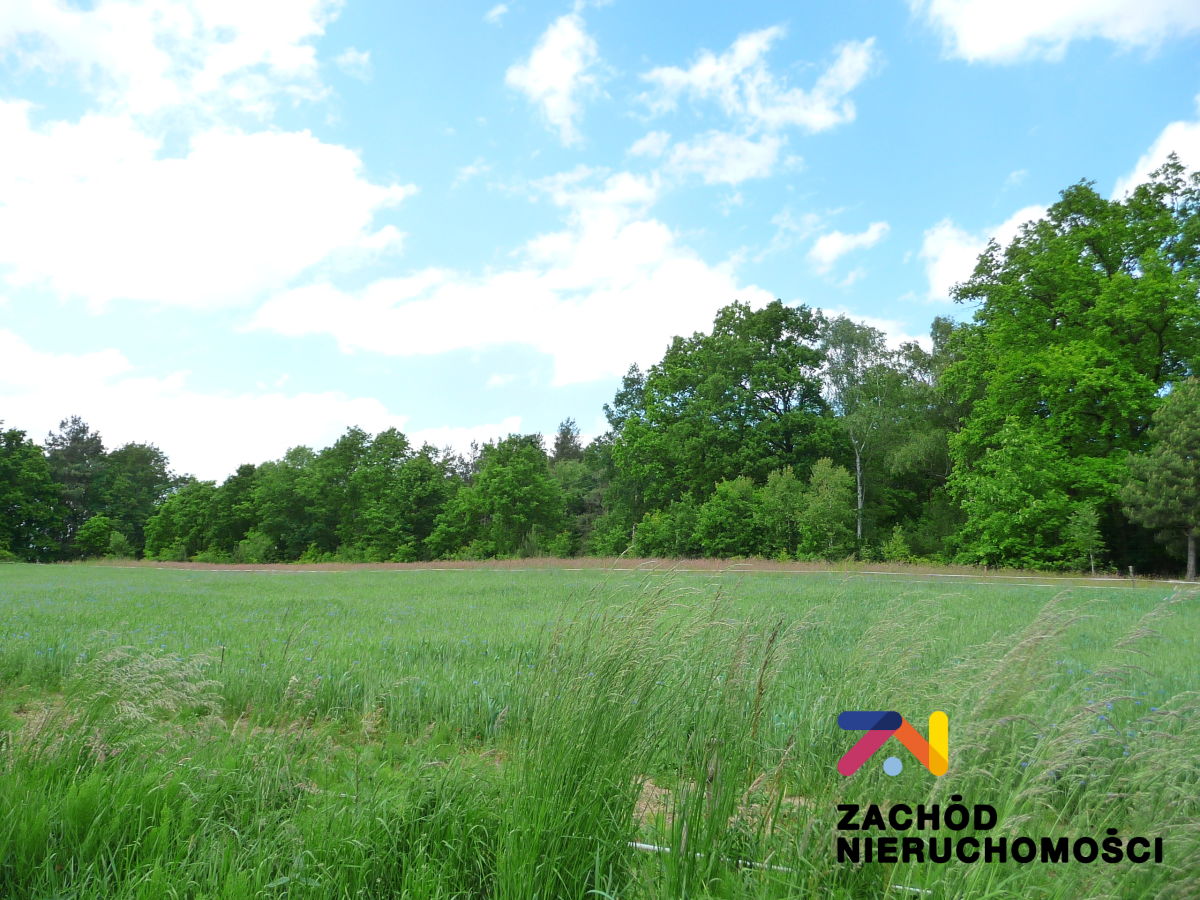 Na sprzedaż działka budowlana - Drągowina -
lubuskie Zdjęcie nr 1