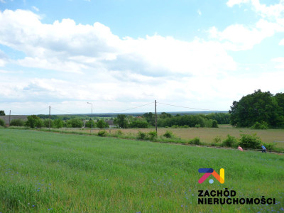 Na sprzedaż działka budowlana - Drągowina -
lubuskie Zdjęcie nr 3