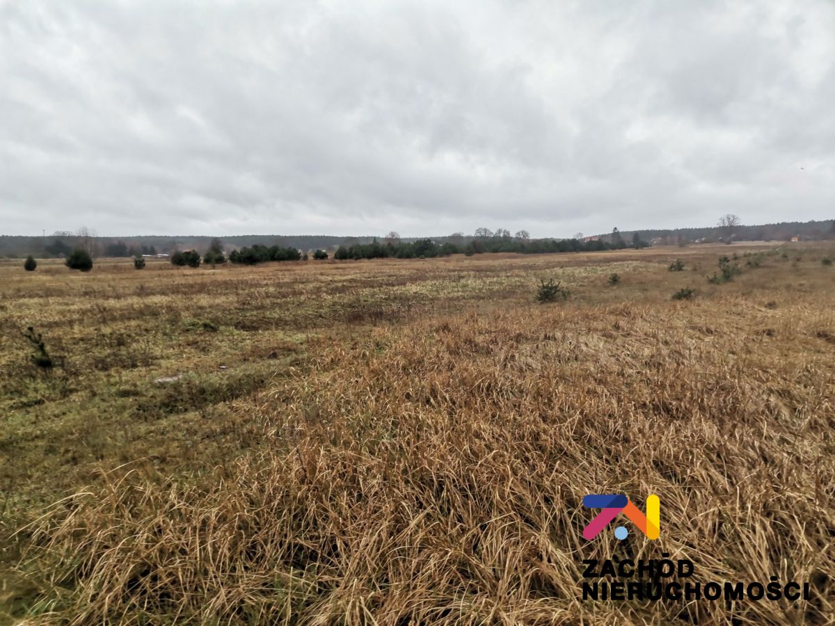 Na sprzedaż działka budowlana - Czarna -
lubuskie Zdjęcie nr 1