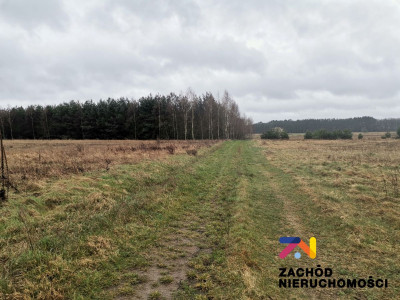 Na sprzedaż działka budowlana - Czarna -
lubuskie Zdjęcie nr 3