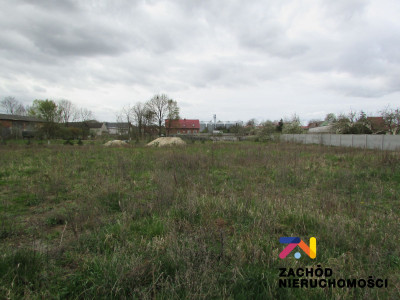 Na sprzedaż działka budowlana - Klenica -
lubuskie Zdjęcie nr 4