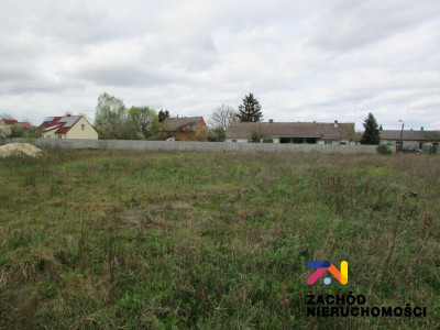 Na sprzedaż działka budowlana - Klenica -
lubuskie Zdjęcie nr 5