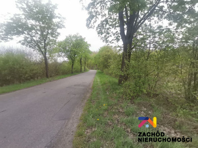 Na sprzedaż działka rolna - Piaski -
lubuskie Zdjęcie nr 2