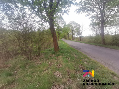 Na sprzedaż działka rolna - Piaski -
lubuskie Zdjęcie nr 3