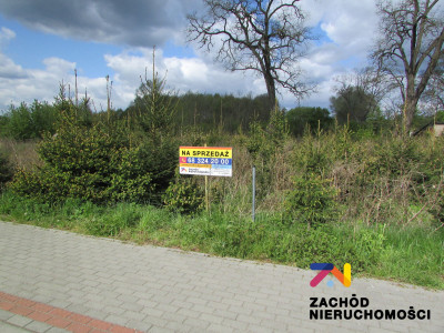 Na sprzedaż działka budowlana - Sycowice -
lubuskie Zdjęcie nr 5