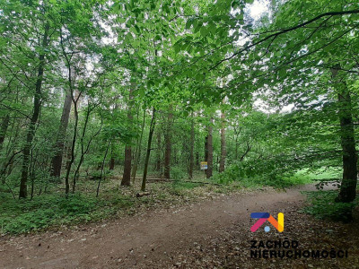 Na sprzedaż działka budowlana - Zielona Góra -
lubuskie Zdjęcie nr 4