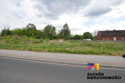 Na sprzedaż działka budowlana - Sycowice -
lubuskie Zdjęcie nr 3