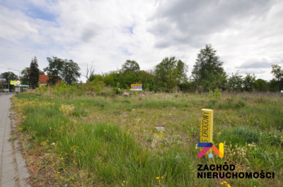 Na sprzedaż działka budowlana - Sycowice -
lubuskie Zdjęcie nr 4