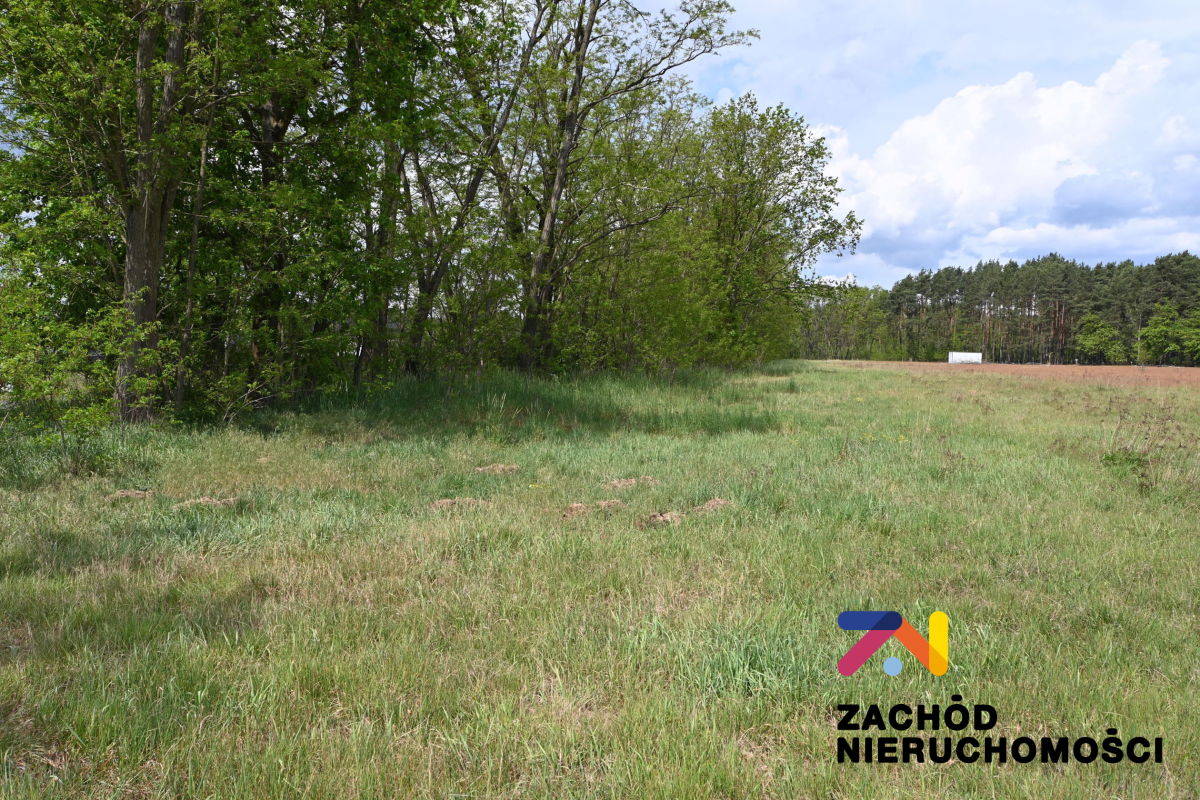 Na sprzedaż działka budowlana - Świdnica -
lubuskie Zdjęcie nr 1