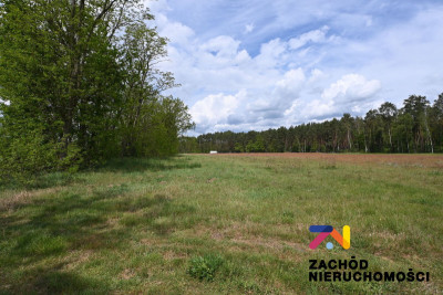 Na sprzedaż działka budowlana - Świdnica -
lubuskie Zdjęcie nr 2