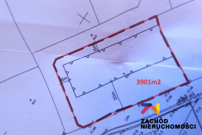 Na sprzedaż działka budowlana - Świdnica -
lubuskie Zdjęcie nr 4