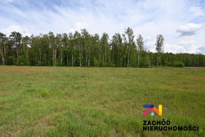 Na sprzedaż działka budowlana - Świdnica -
lubuskie Zdjęcie nr 2