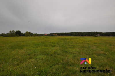 Na sprzedaż działka budowlana - Krzywczyce -
lubuskie Zdjęcie nr 2