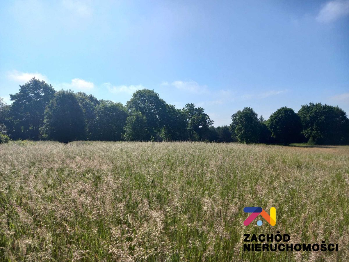 Na sprzedaż działka budowlana - Książ Śląski -
lubuskie Zdjęcie nr 1