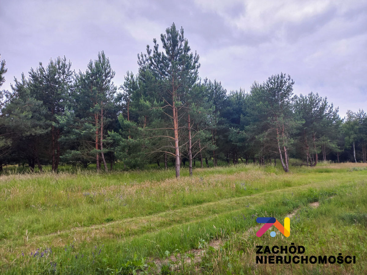 Na sprzedaż działka budowlana - Zabór -
lubuskie Zdjęcie nr 1