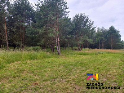 Na sprzedaż działka budowlana - Zabór -
lubuskie Zdjęcie nr 3