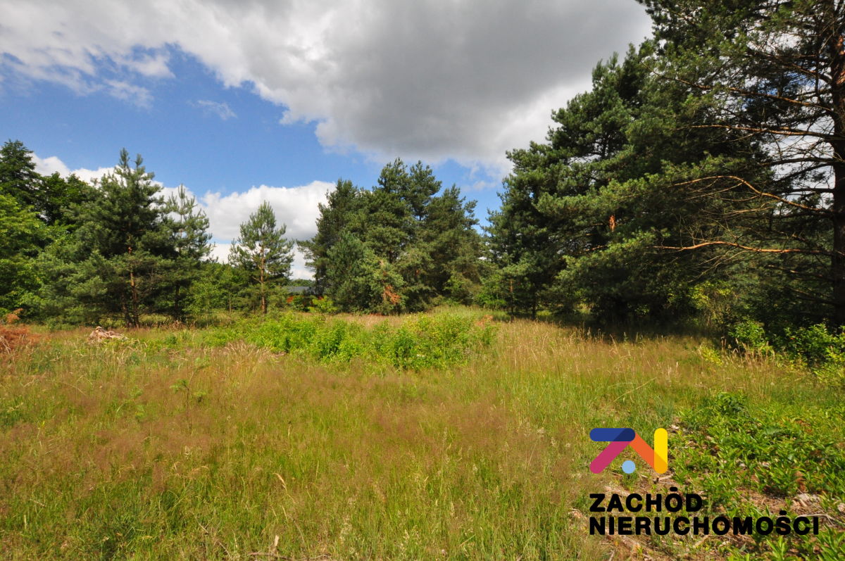 Na sprzedaż działka budowlana - Ksiąź Śląski -
lubuskie Zdjęcie nr 1