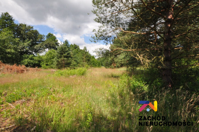 Na sprzedaż działka budowlana - Ksiąź Śląski -
lubuskie Zdjęcie nr 4
