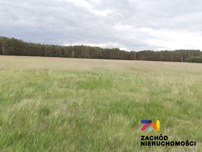 Na sprzedaż działka budowlana - Świdnica - lubuskie