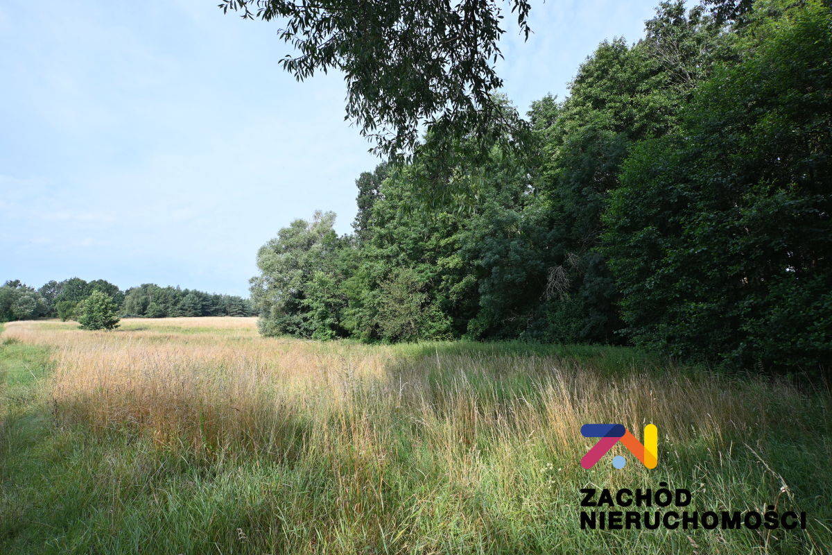 Na sprzedaż działka budowlana -
lubuskie Zdjęcie nr 1