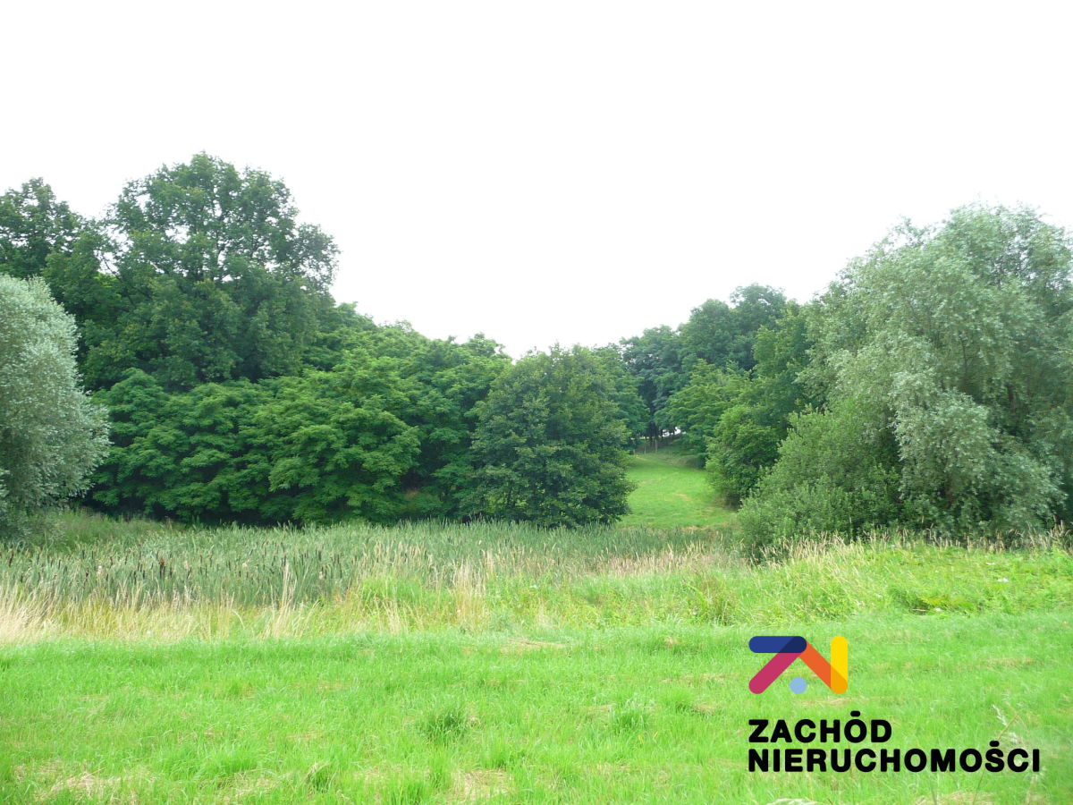 Na sprzedaż działka budowlana - Przytok -
lubuskie Zdjęcie nr 1