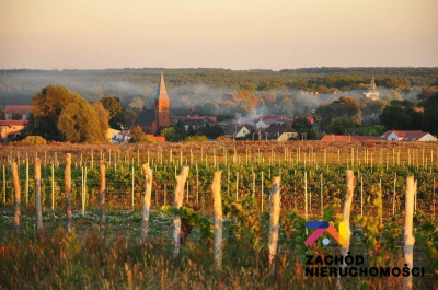 Na sprzedaż działka budowlana - Przytok -
lubuskie Zdjęcie nr 12