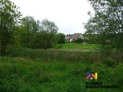 Na sprzedaż działka budowlana - Przytok -
lubuskie Zdjęcie nr 5