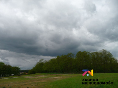 Na sprzedaż działka budowlana - Przytok -
lubuskie Zdjęcie nr 6