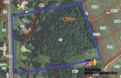 Na sprzedaż działka budowlana - Przytok -
lubuskie Zdjęcie nr 8