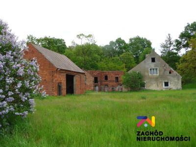 Na sprzedaż działka budowlana - Przytok -
lubuskie Zdjęcie nr 9