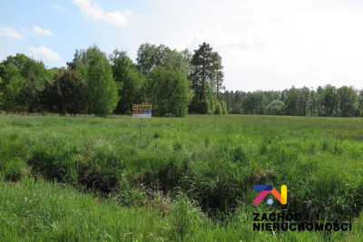 Na sprzedaż działka budowlana - Świdnica -
lubuskie Zdjęcie nr 4