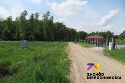 Na sprzedaż działka leśna - Świdnica -
lubuskie Zdjęcie nr 3
