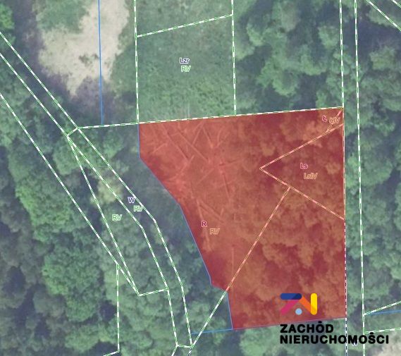 Na sprzedaż działka budowlana - Droszków -
lubuskie Zdjęcie nr 1