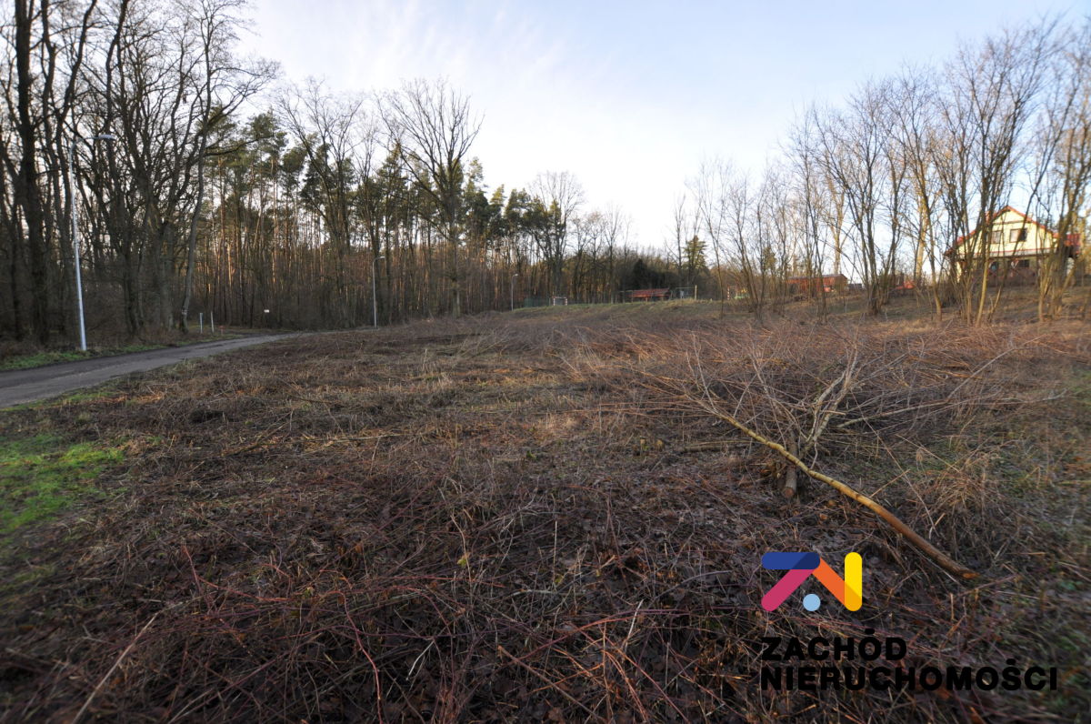 Na sprzedaż działka budowlana - Cigacice -
lubuskie Zdjęcie nr 1