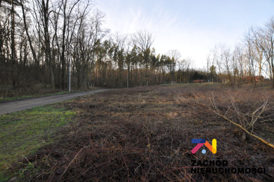 Na sprzedaż działka budowlana - Cigacice -
lubuskie Zdjęcie nr 5