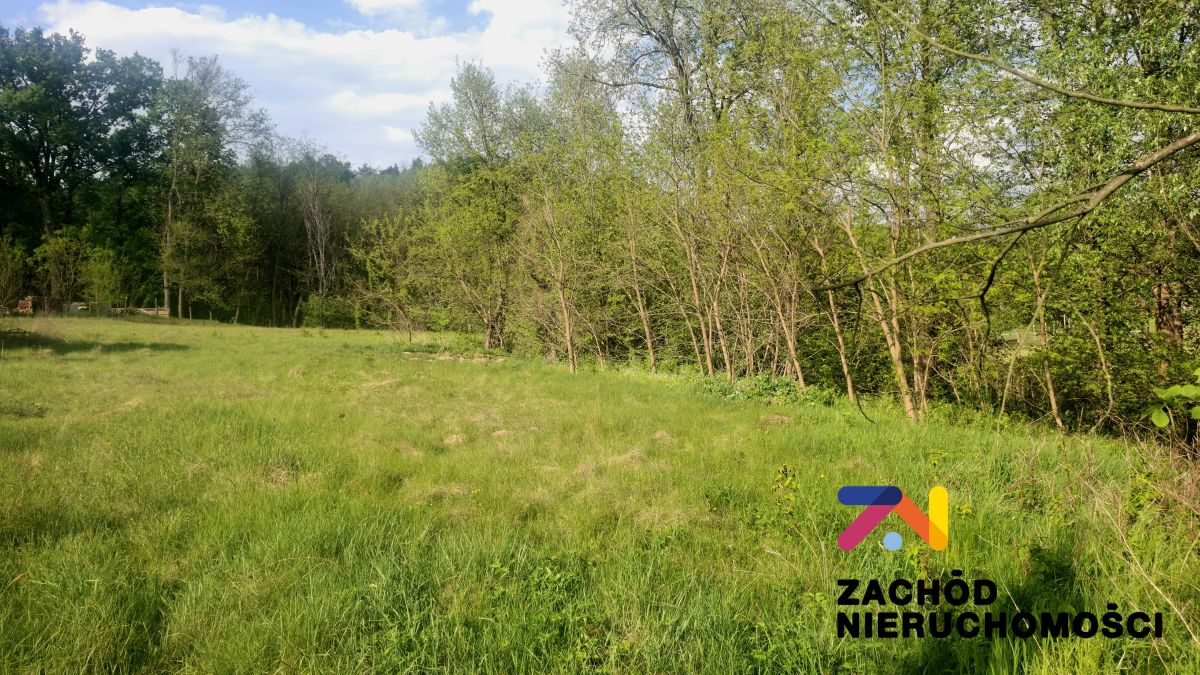 Na sprzedaż działka budowlana - Tarnawa -
lubuskie Zdjęcie nr 1