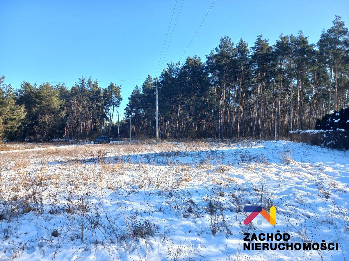 Na sprzedaż działka budowlana - Przytok -
lubuskie Zdjęcie nr 1