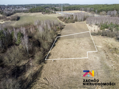 Na sprzedaż działka budowlana - Zielona Góra -
lubuskie Zdjęcie nr 5