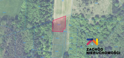 Na sprzedaż działka budowlana - Zielona Góra -
lubuskie Zdjęcie nr 6