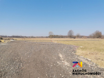Na sprzedaż działka budowlana - Zielona Góra -
lubuskie Zdjęcie nr 5