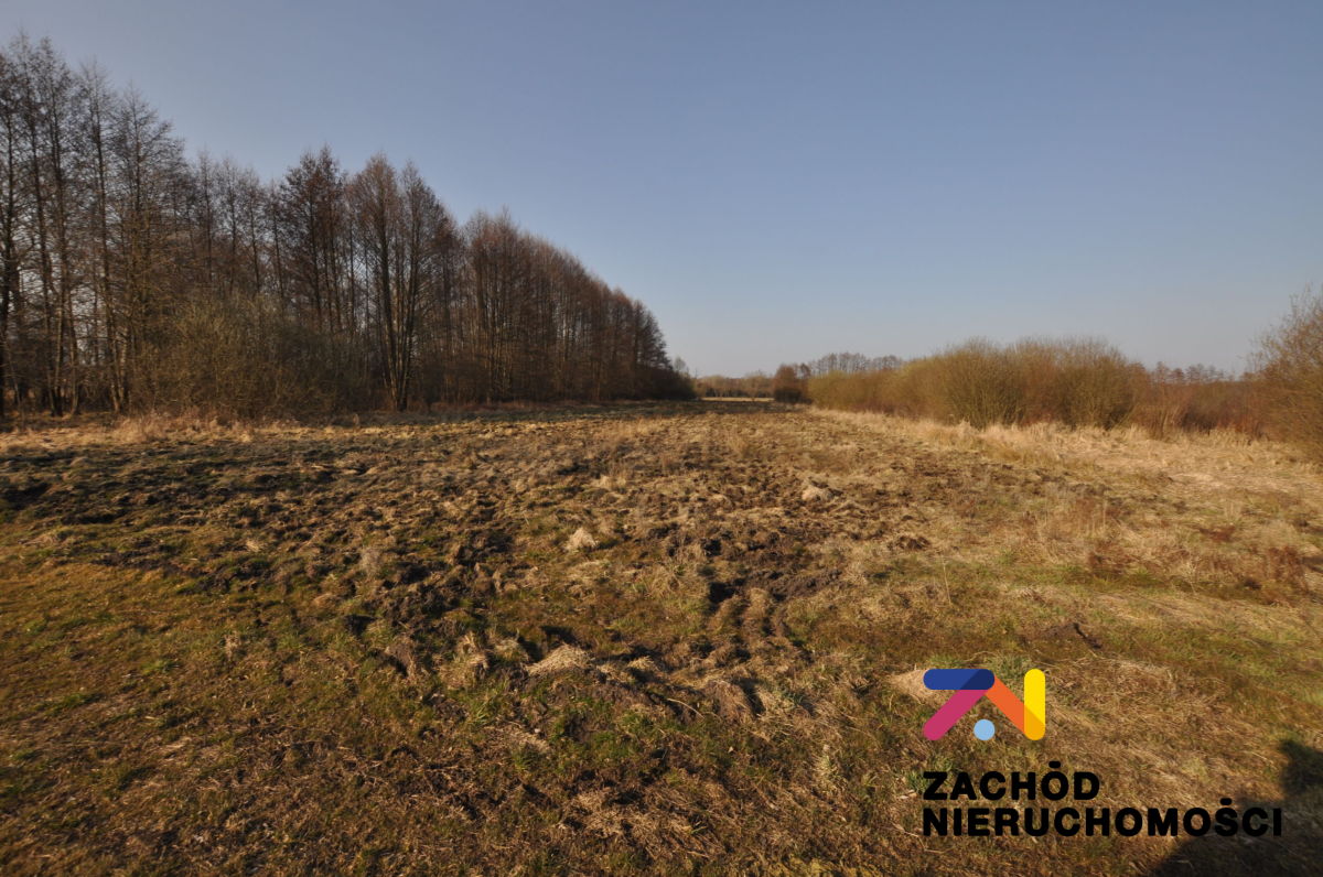 Na sprzedaż działka rolna - Zielona Góra -
lubuskie Zdjęcie nr 1