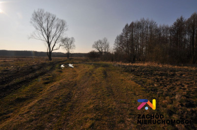 Na sprzedaż działka rolna - Zielona Góra -
lubuskie Zdjęcie nr 5