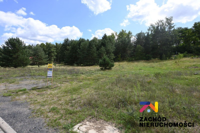 Na sprzedaż działka budowlana - Przytok -
lubuskie Zdjęcie nr 13