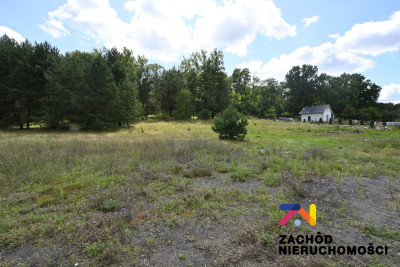Na sprzedaż działka budowlana - Przytok -
lubuskie Zdjęcie nr 3