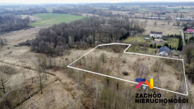 Na sprzedaż działka budowlana - Leśna Góra -
lubuskie Zdjęcie nr 5